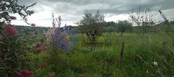 Дом с 3 спальнями в Феррейра ду Зезери, Португалия № 14503 31