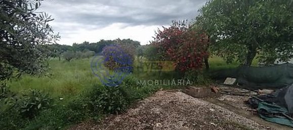 Дом с 3 спальнями в Феррейра ду Зезери, Португалия № 14503 33