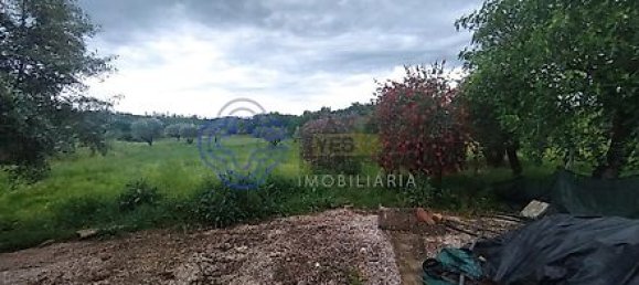 Дом с 3 спальнями в Феррейра ду Зезери, Португалия № 14503 29