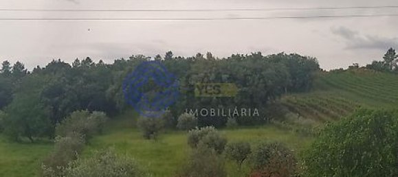 Дом с 3 спальнями в Феррейра ду Зезери, Португалия № 14503 32