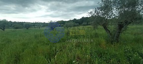 Дом с 3 спальнями в Феррейра ду Зезери, Португалия № 14503 28