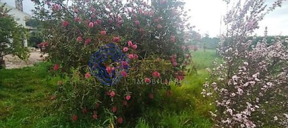 Дом с 3 спальнями в Феррейра ду Зезери, Португалия № 14503 30