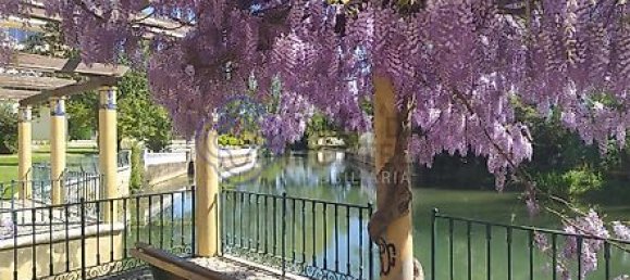 Дом с 3 спальнями в Феррейра ду Зезери, Португалия № 14503 36