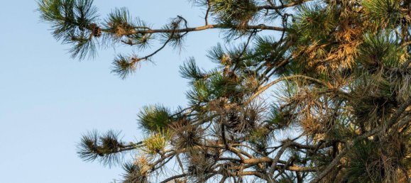  Land in Velden am Worther See, Austria No. 220948 2