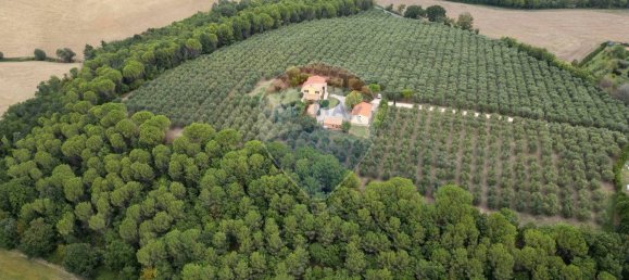 6 bedrooms House in Morrovalle, Italy No. 319890 10