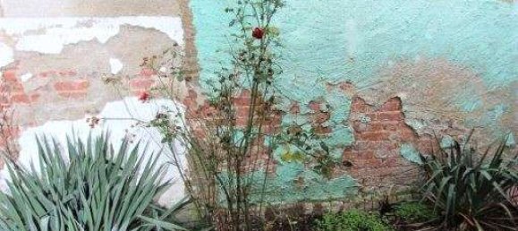 Casa T3 em Prignitz, Germany N.º 14566 11