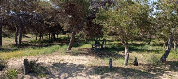 2 bedrooms Bungalow in Guardamar del Segura, Spain No. 178186 30