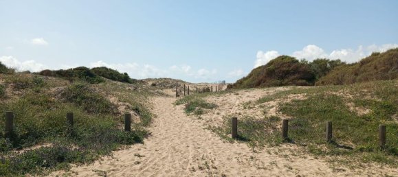 2 bedrooms Bungalow in Guardamar del Segura, Spain No. 178186 36