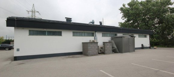 Gewerbliche Immobilie in Neusiedl am See, Austria 335m², Nr. 117301 7