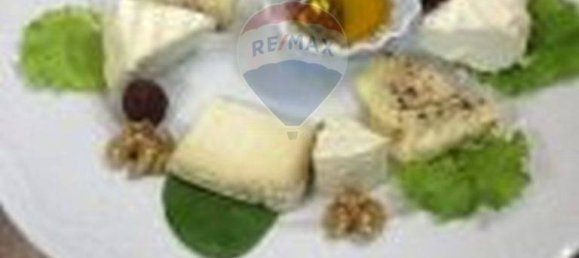 3 rooms Commercial property in Gallarate, Italy No. 168406 3