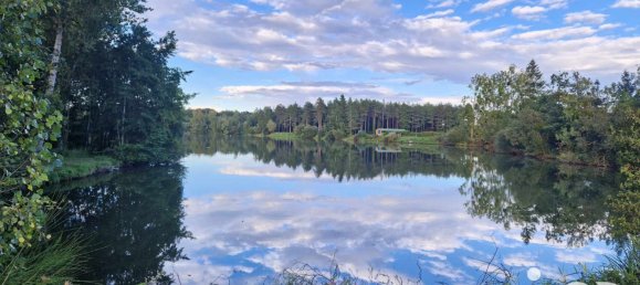 Земельный участок в Сен-Бенуа-сюр-Луара, Франция № 243323 2