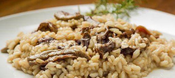 2 rooms Commercial property in Verona, Italy No. 201998 45