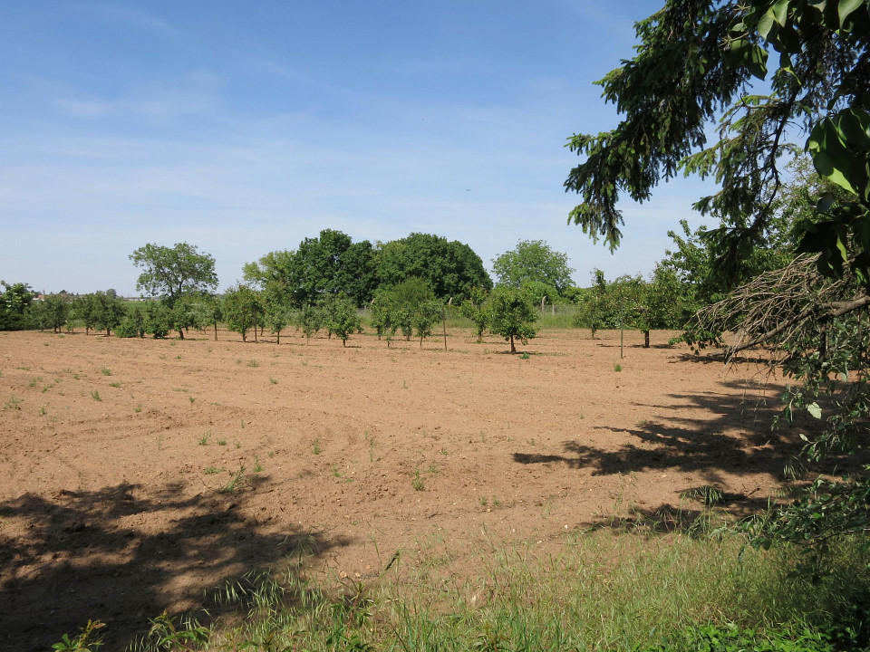  Land in Marchegg, Austria No. 130270