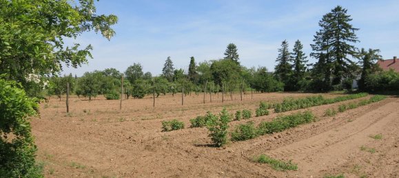  Land in Marchegg, Austria No. 130270 4