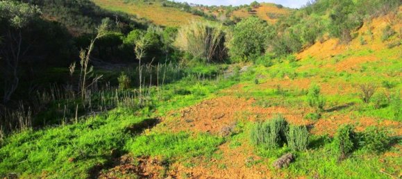 15640m² Land in Odeleite, Portugal No. 80176 4