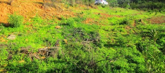 15640m² Land in Odeleite, Portugal No. 80176 13