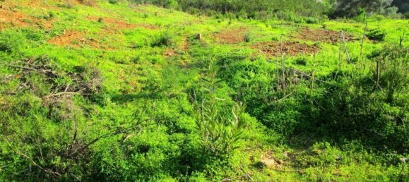 15640m² Land in Odeleite, Portugal No. 80176 12