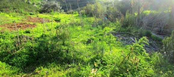 15640m² Land in Odeleite, Portugal No. 80176 15