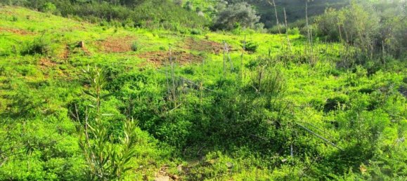 15640m² Land in Odeleite, Portugal No. 80176 14