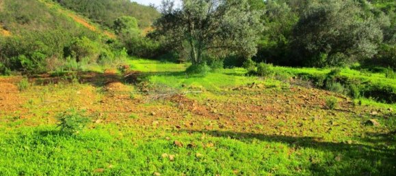 15640m² Land in Odeleite, Portugal No. 80176 2