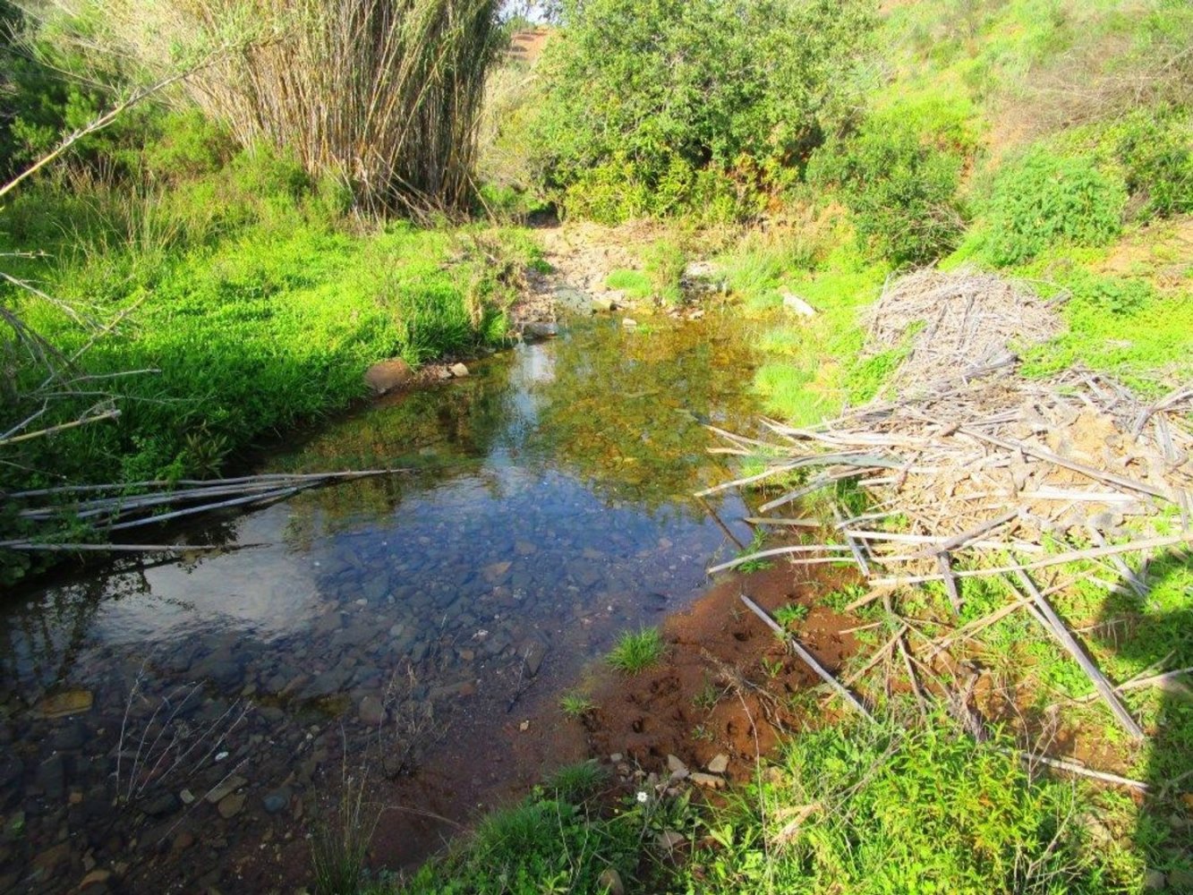 15640m² Land in Odeleite, Portugal No. 80176