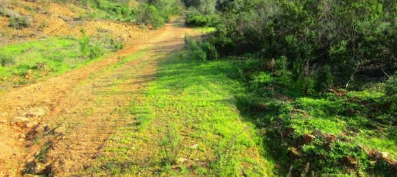 15640m² Land in Odeleite, Portugal No. 80176 17
