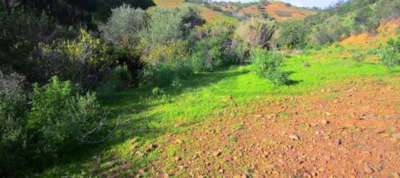 15640m² Land in Odeleite, Portugal No. 80176 5