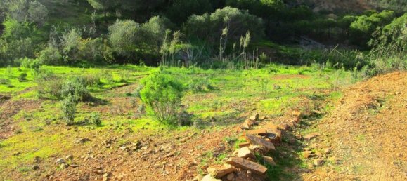 15640m² Land in Odeleite, Portugal No. 80176 16