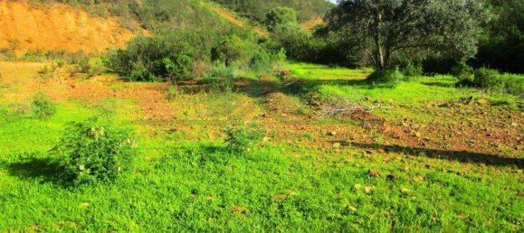 15640m² Land in Odeleite, Portugal No. 80176 3