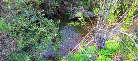 15640m² Land in Odeleite, Portugal No. 80176 7