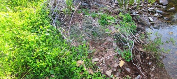 15640m² Land in Odeleite, Portugal No. 80176 10