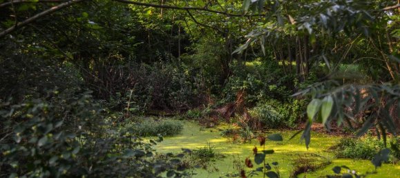 10-salle Maison à Riva presso Chieri, Italy No. 206906 29