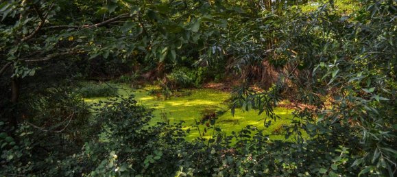 10-salle Maison à Riva presso Chieri, Italy No. 206906 28