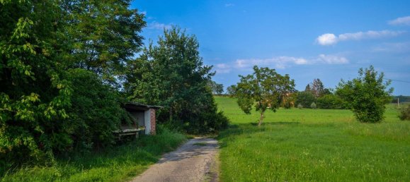10-salle Maison à Riva presso Chieri, Italy No. 206906 40