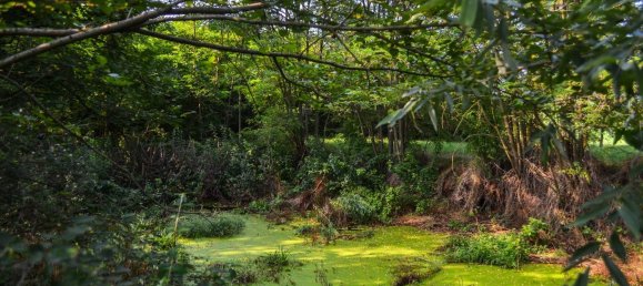 10-salle Maison à Riva presso Chieri, Italy No. 206906 30