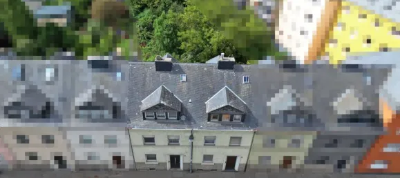 10 chambres Maison de ville à Trier, Germany No. 291333 2