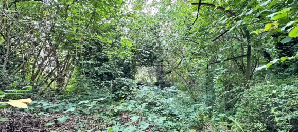 10 chambres Maison de ville à Trier, Germany No. 291333 34