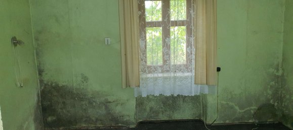 4 chambres Maison à Saxony, Germany No. 184264 37