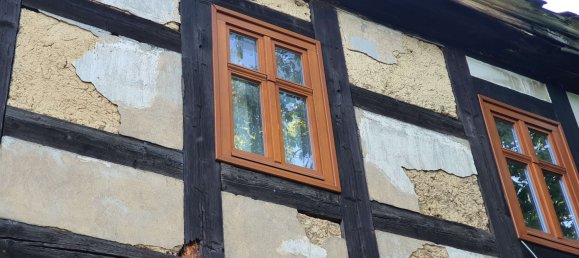 4 chambres Maison à Saxony, Germany No. 184264 2