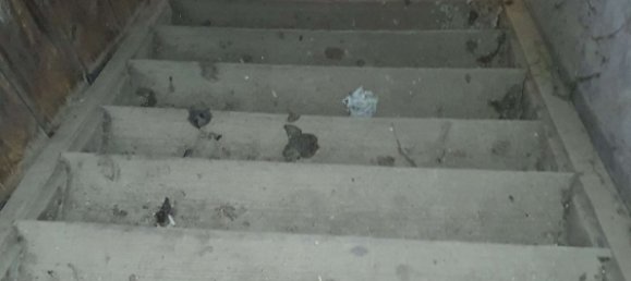 4 chambres Maison à Saxony, Germany No. 184264 31