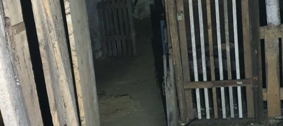 4 chambres Maison à Saxony, Germany No. 184264 33