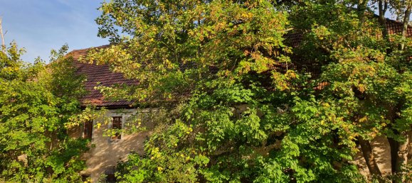 4 chambres Maison à Saxony, Germany No. 184264 9