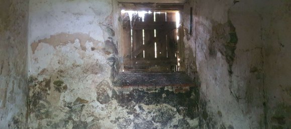 4 chambres Maison à Saxony, Germany No. 184264 39