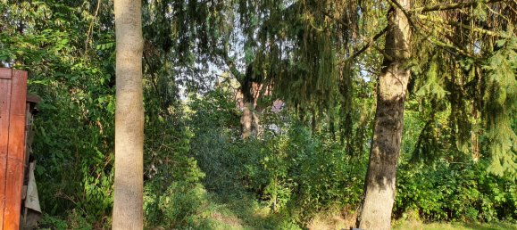 4 chambres Maison à Saxony, Germany No. 184264 13