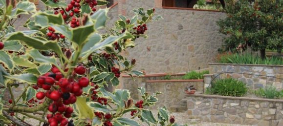 7 rooms Villa in Montalcino, Italy No. 235396 48