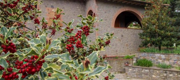 7 rooms Villa in Montalcino, Italy No. 235396 47