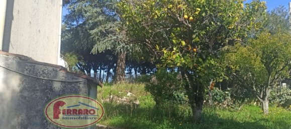 Вилла с 6 комнатами в Модика, Италия № 65753 5