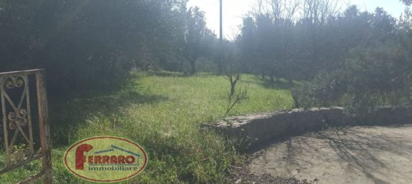 Вилла с 6 комнатами в Модика, Италия № 65753 20