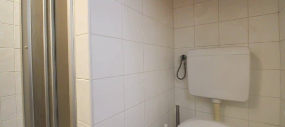 4 rooms House in Wolfsegg am Hausruck, Austria No. 233721 21