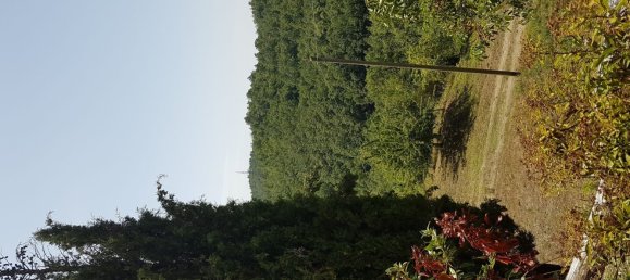 5 Schlafzimmer Haus in Subbiano, Italy, Nr. 363920 18